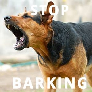stop-dog-barking1