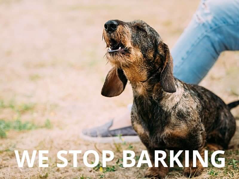 5-Barking