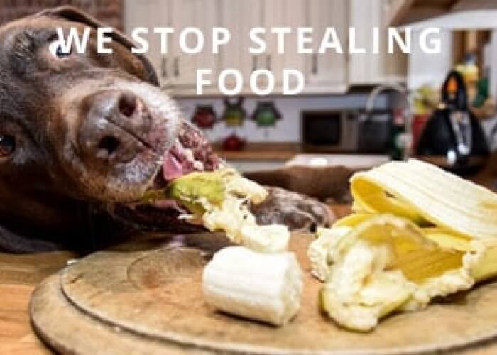 Stealing-Food