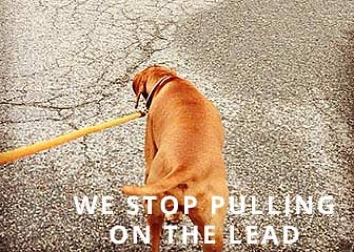 Pulling-on-Lead