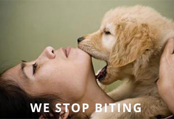 Stop-Puppy-Biting