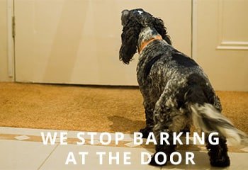 dog_barking_at_door