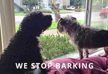 Barking